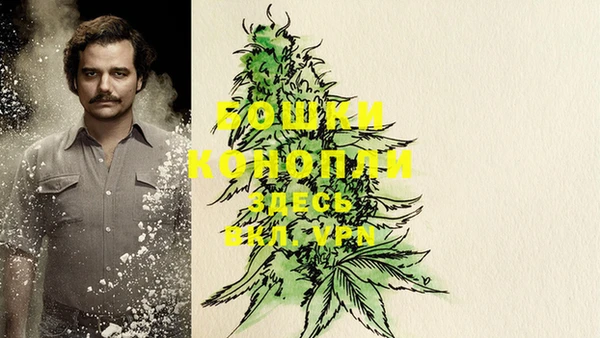 спайс Верея